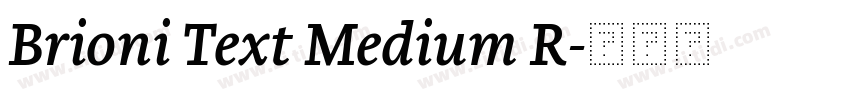 Brioni Text Medium R字体转换